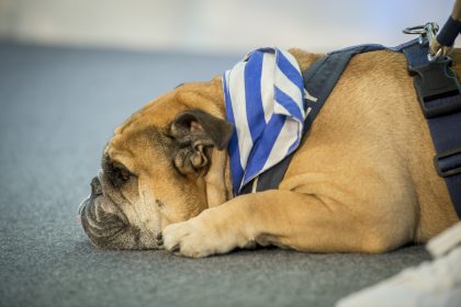 &copy;&nbsp;ICS Exporttag