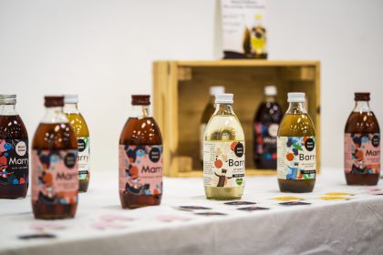 &copy;&nbsp;bernhard bergmann