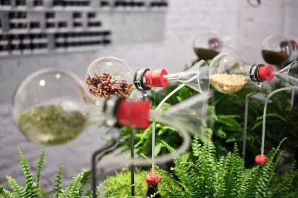 &copy;&nbsp;©StefanLeitner